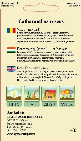 Vinca
