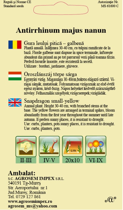 Gura leului pitică galbenă