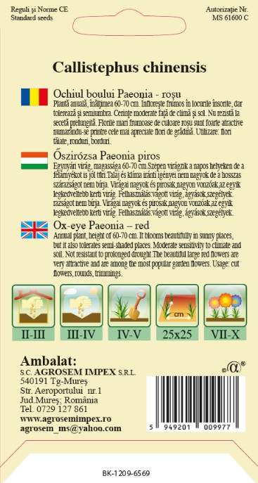 Ochiul boului Paeonia Roșu