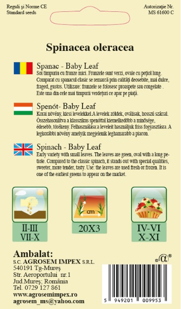 Spanac - Baby Leaf