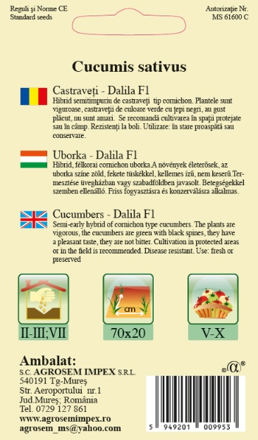 Castraveti cornichon - Dalila F1