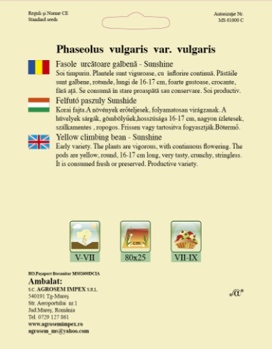 Fasole urcatoare - Sunshine