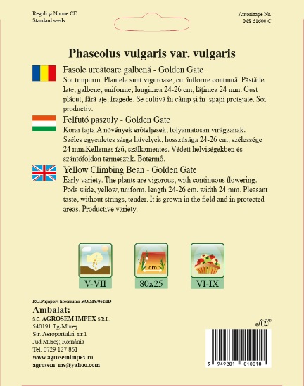 Fasole urcatoare - Golden Gate