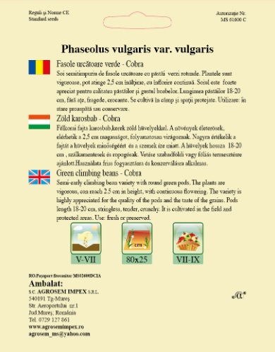Fasole urcatoare - Cobra