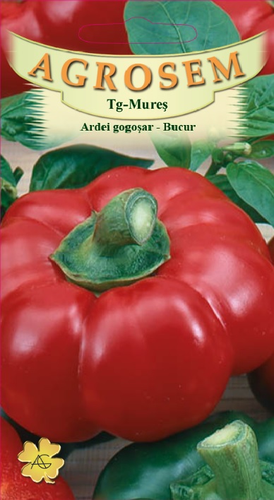 Ardei gogosar - Bucur