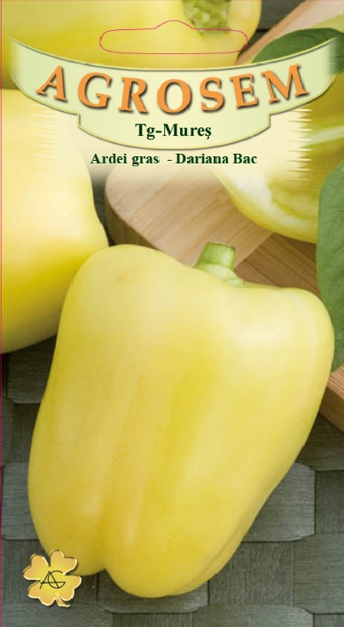 Ardei gras - Dariana Bac