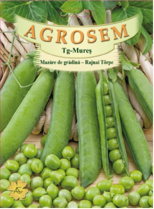 Mazăre de grădină - Rajnai Torpe