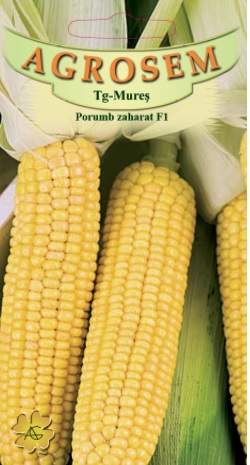 Porumb dulce - Royalty F1