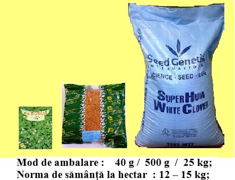 Trifoi alb cu Rhizobium