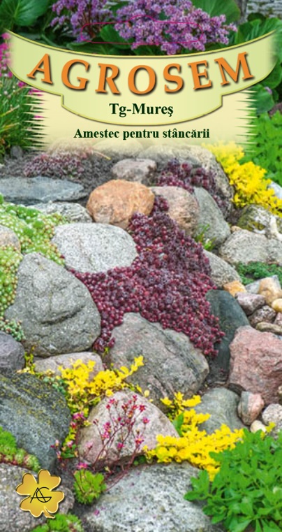 Amestec de Flori pentru Stâncării