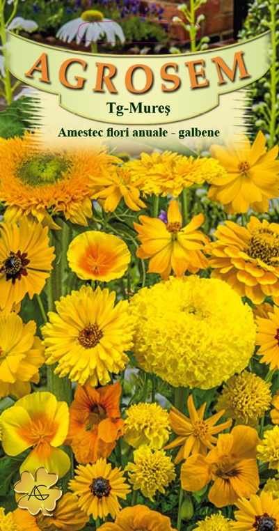 Amestec de Flori Anuale Galbene