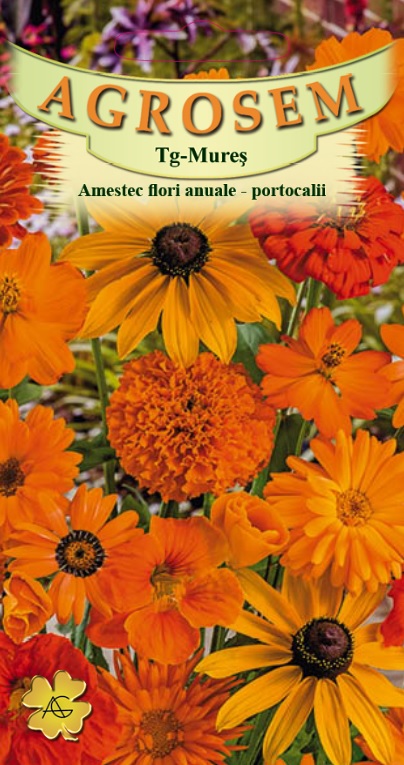 Amestec de Flori Anuale Portocalii