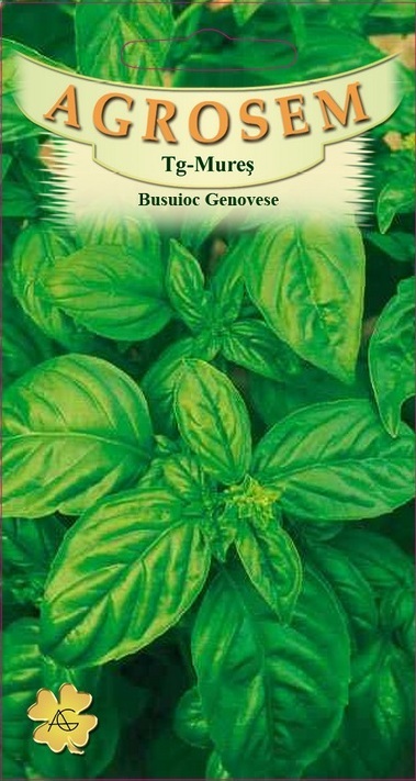 Busuioc Genovese