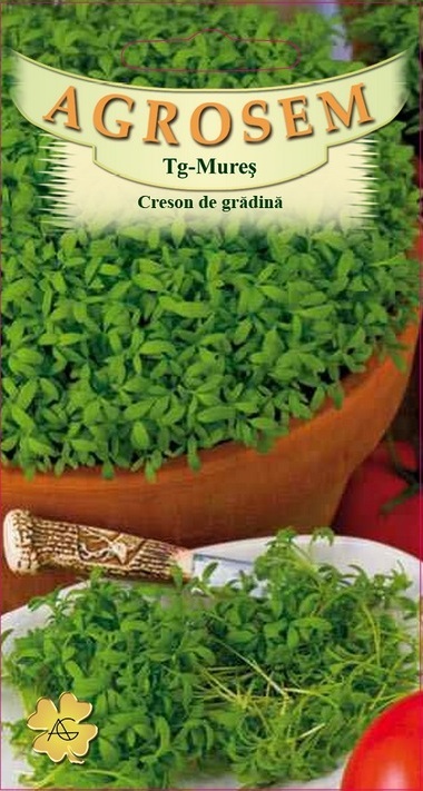 Creson de grădină