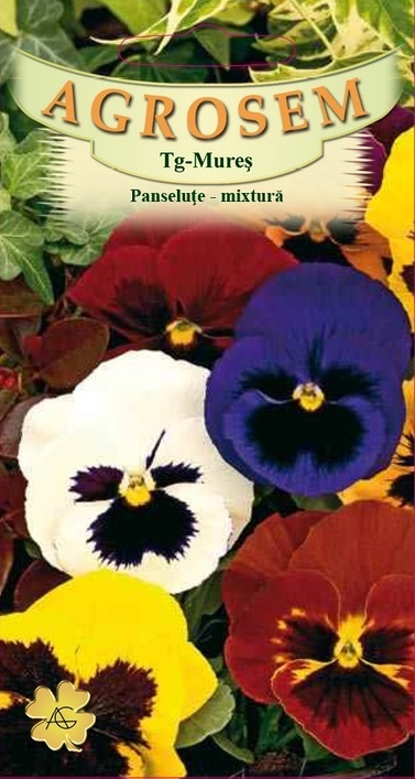 Panseluţe - mixtură