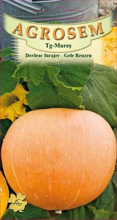 Dovleac furajer - Gele Reuzen