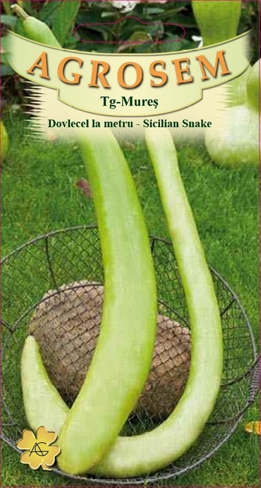 Dovlecel la metru - Sicillian Snake