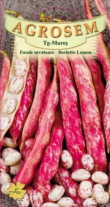 Fasole urcătoare - Borlotto Lamon