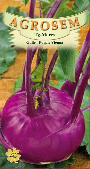 Gulie - Purple Vienna