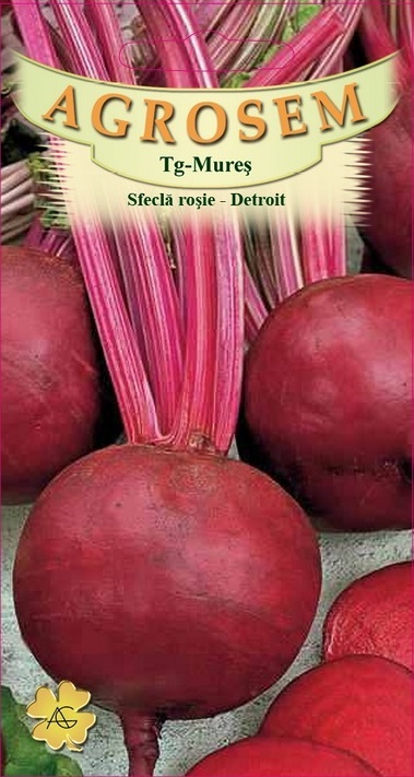 Sfeclă roşie - Detroit