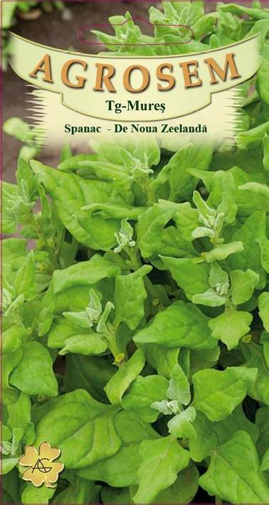 Spanac - De Noua Zeelandă