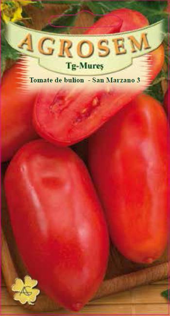 Tomate - San Marzano 3
