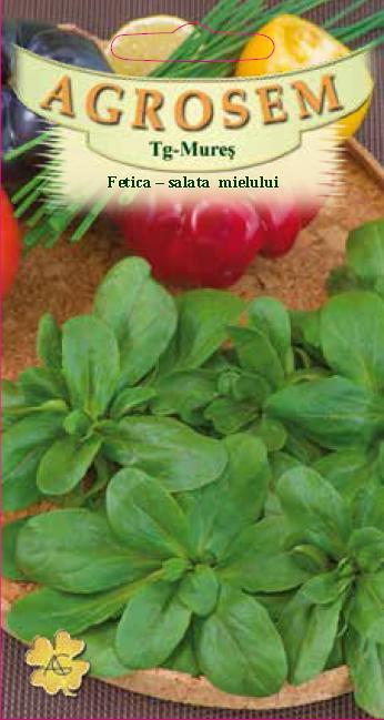 Fetică - Salata mielului