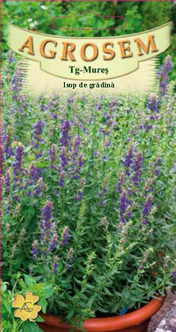 Isop de grădină