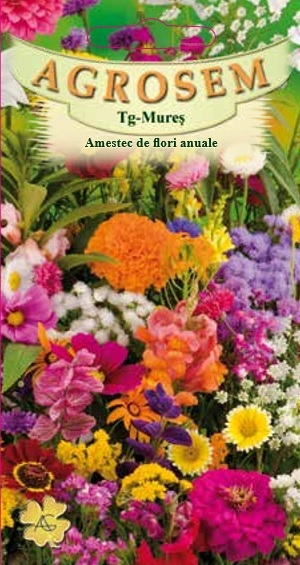 Amestec de Flori Anuale