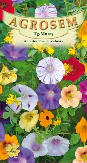 Amestec flori urcătoare