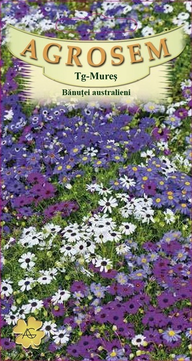 Bănuței australieni