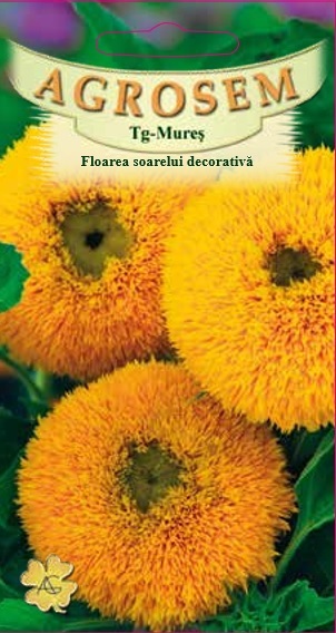 Floarea soarelui decorativă