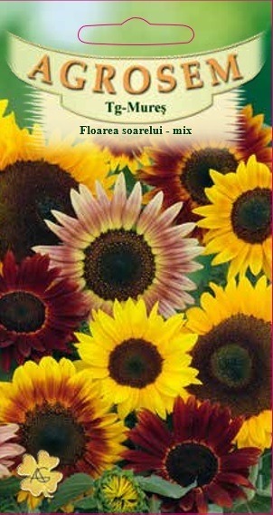 Floarea soarelui - mix