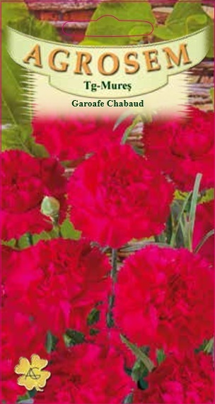 Garoafe Chabaud Roșii