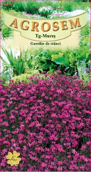 Garofițe de stânci