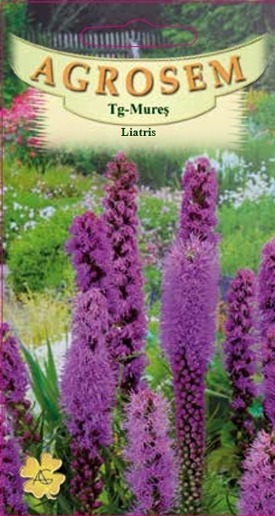 Liatris