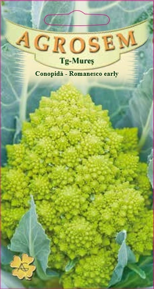 Conopidă - Romanesco early