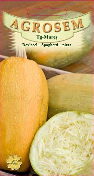 Dovlecel - Spaghetti - Pizza