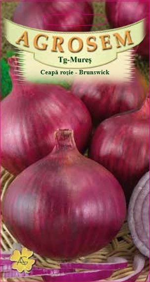 Ceapă roşie - Brunswick
