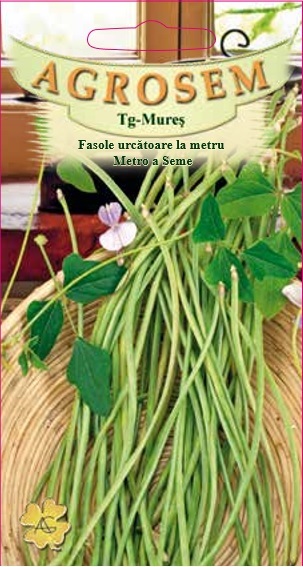 Fasole urcătoare la metru - Metro a Seme