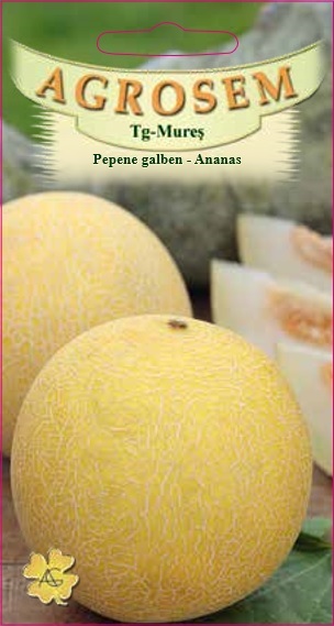 Pepene galben - Ananas