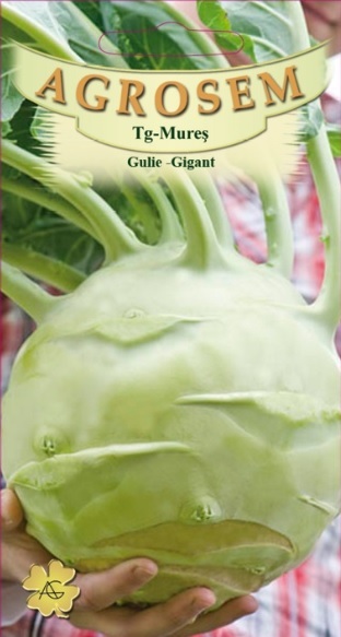 Gulie - Gigant