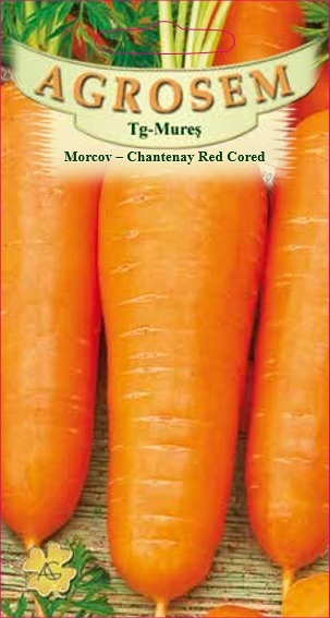 Morcov - Chantenay Red Cored