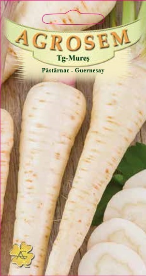 Păstârnac - Guernesay