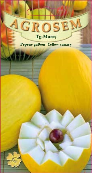Pepene galben - Yellow Canary