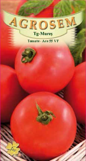 Tomate - Ace 55 VF