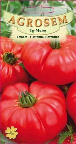 Tomate - Costoluto Fiorentino