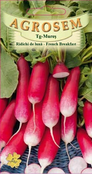 Ridichi de lună - French Breakfast