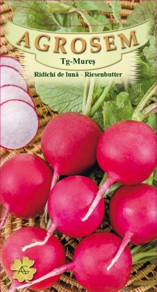 Ridichi de lună - Riesenbutter