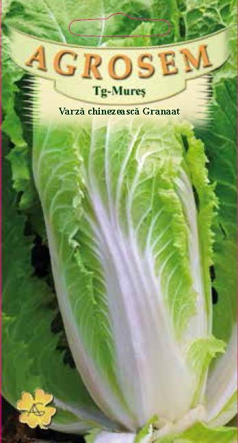 Varză chinezească - Granaat